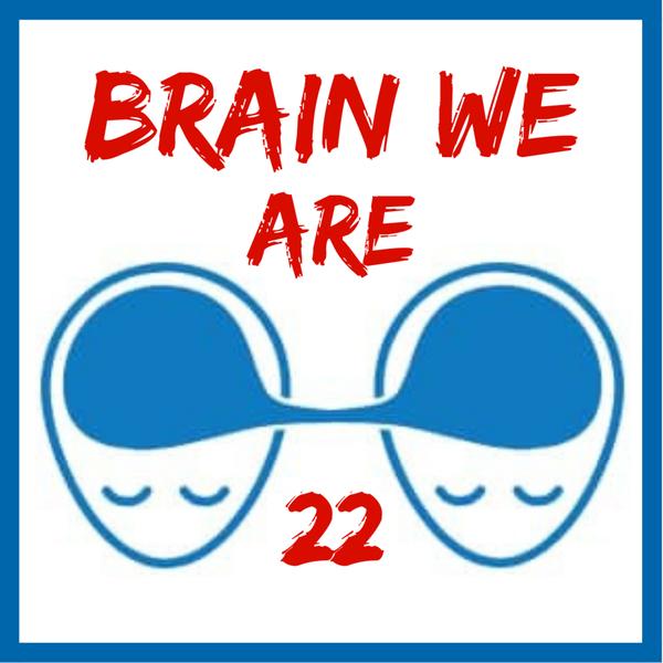 Brain We Are CZ